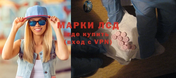 прущие грибы Абинск