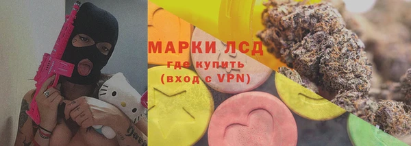 стафф Алексин