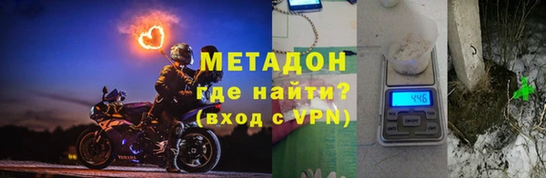прущие грибы Абинск