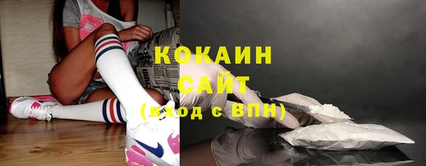 прущие грибы Абинск