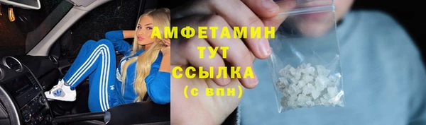 стафф Алексин
