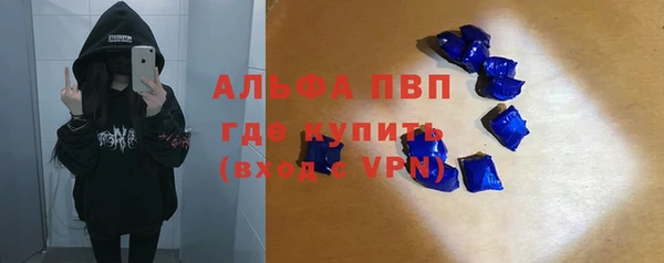 прущие грибы Абинск