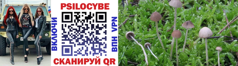Псилоцибиновые грибы мухоморы  Абаза 